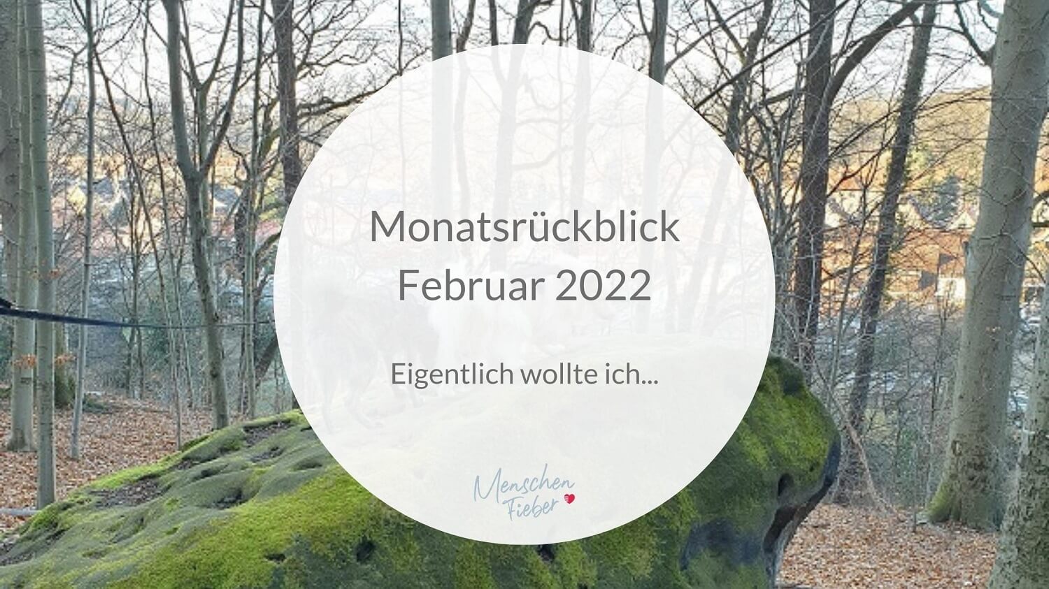 Monatsrückblick Februar 2022