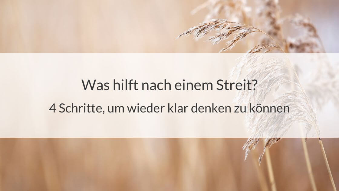 Trockenes Schilf am Seeufer mit der Aufschrift: Was hilft nach einem Streit? 4 Schritte, um wieder klar denken zu können