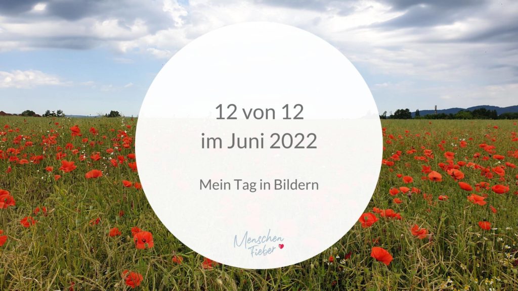 12 von 12 im Juni 2022: Mein Tag in Bildern