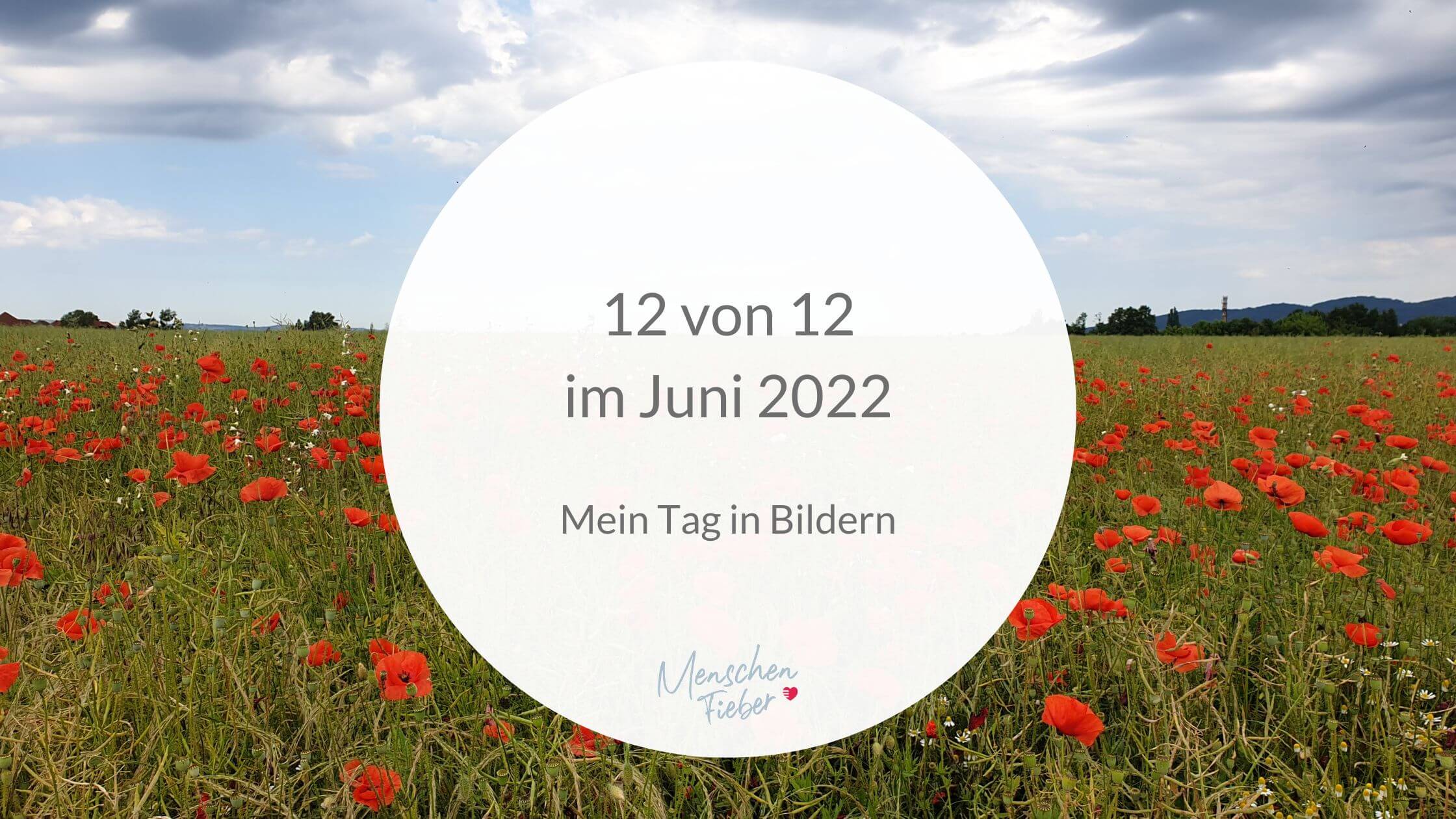 12 von 12 im Juni 2022: Mein Tag in Bildern