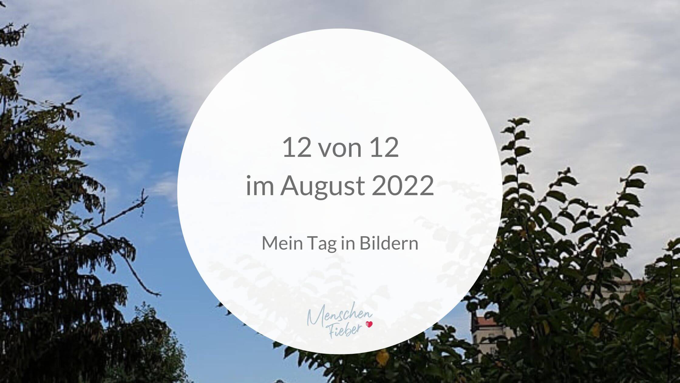 12 von 12 im August 2022: Mein Tag in Bildern