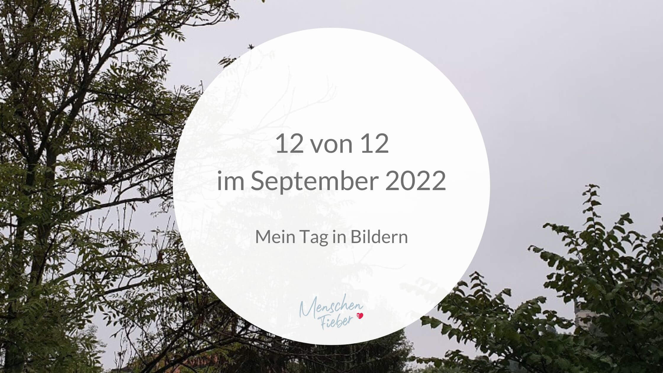 12 von 12 im September 2022