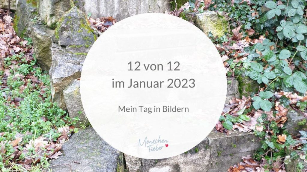 12 von 12 im Januar 2023: Mein Tag in Bildern