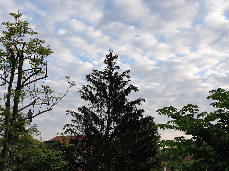 morgendlicher Ausblick aus dem Fenster: blauer Himmel mit Schäfchenwolken