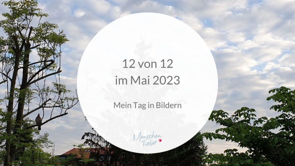 12 von 12 im Mai 2023: Mein Tag in Bildern