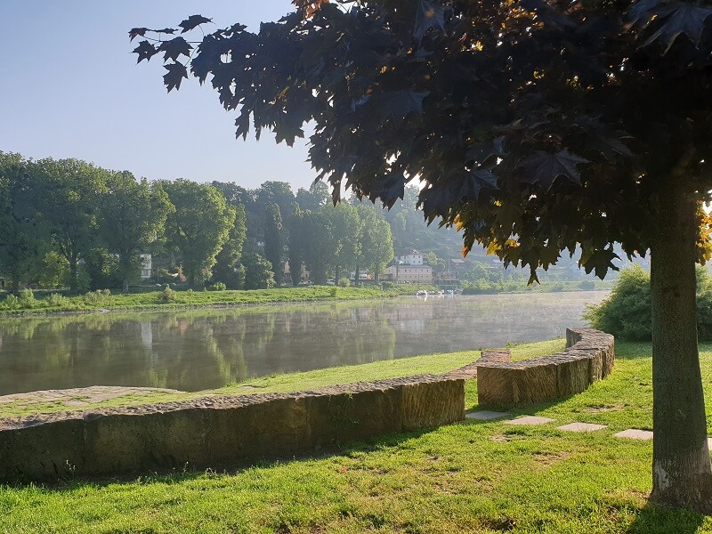 Elbe mit Flussnebel im Mai an einem sonnigen Morgen