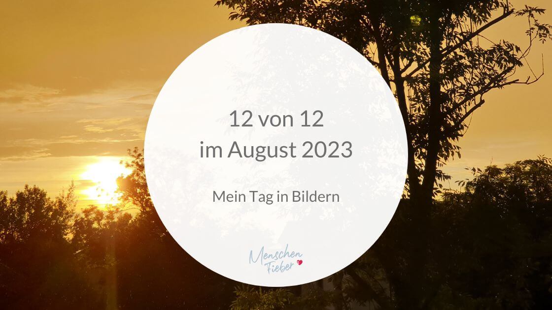 Sonnenuntergang und Bäume mit der Aufschrift: 12 von 12 im August 2023: Mein Tag in Bildern