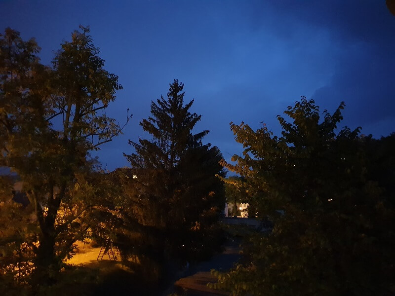 dunkler Morgenhimmel hinter Bäumen