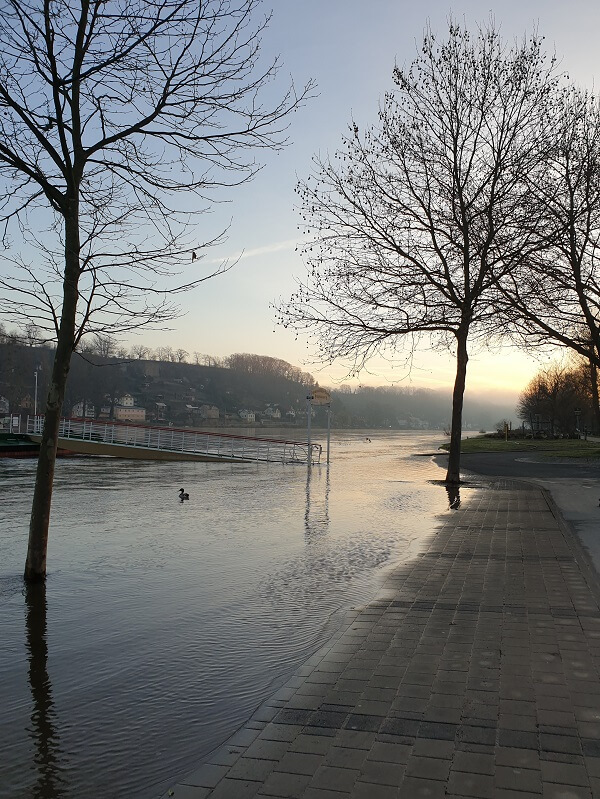 Emotionsregulation und Stressbewältigung bei einem Flussspaziergang in der Morgensonne