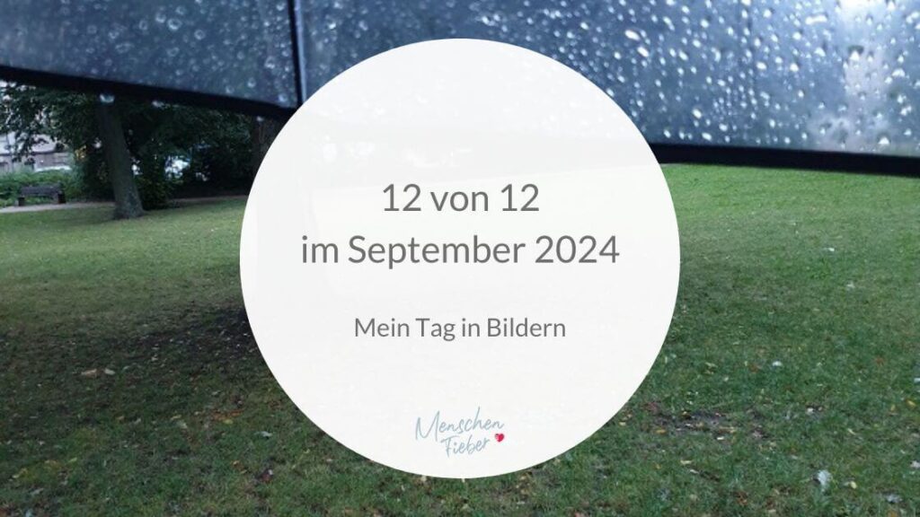 Regen im Park und die Aufschrift: 12 von 12 im September 2024: Mein Tag in Bildern