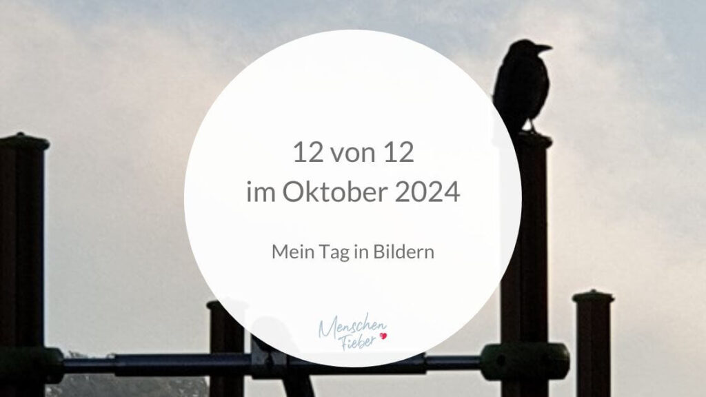Eine Krähe sitzt auf einem Klettergerüst. Das Bild hat die Aufschrift: 12 von 12 im Oktober 2024 – Mein Tag in Bildern