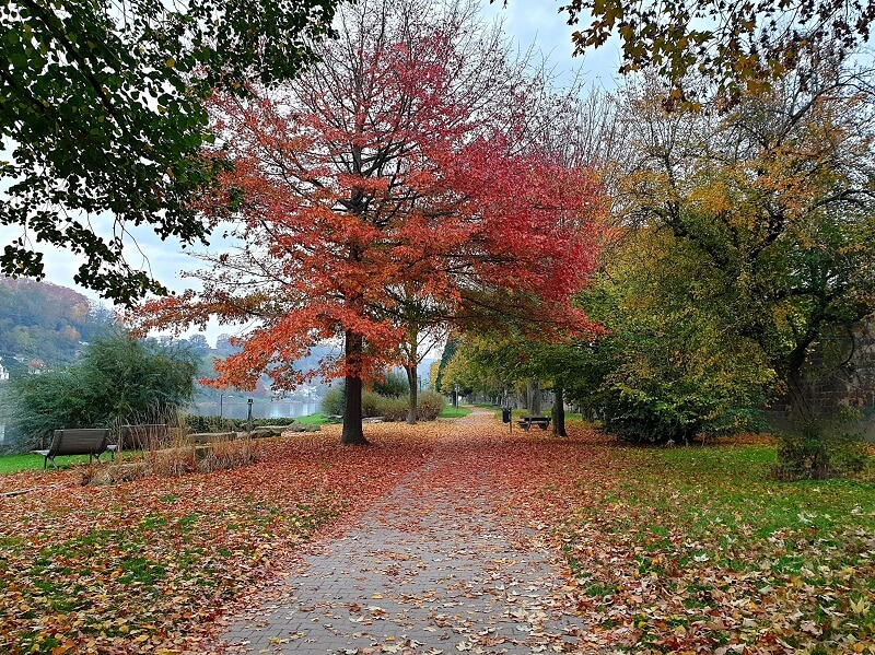 bunte Herbstlandschaft