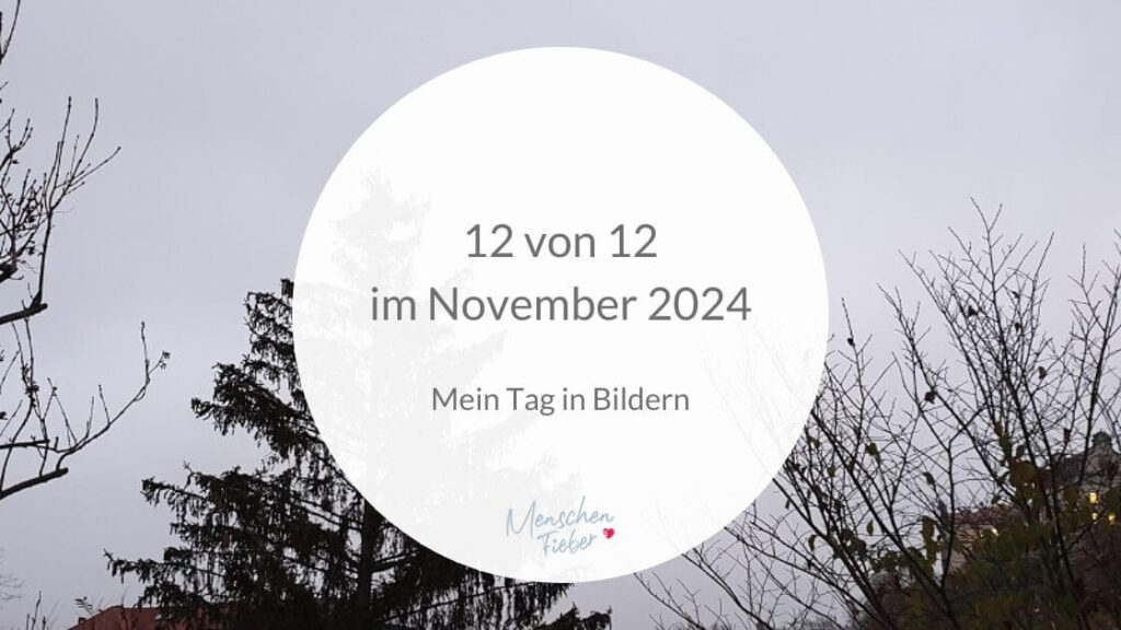 teilweise kahle Baumkronen vor grauem Novemberhimmel mit der Aufschrift: 12 von 12 im November 2024 - Mein Tag in Bildern