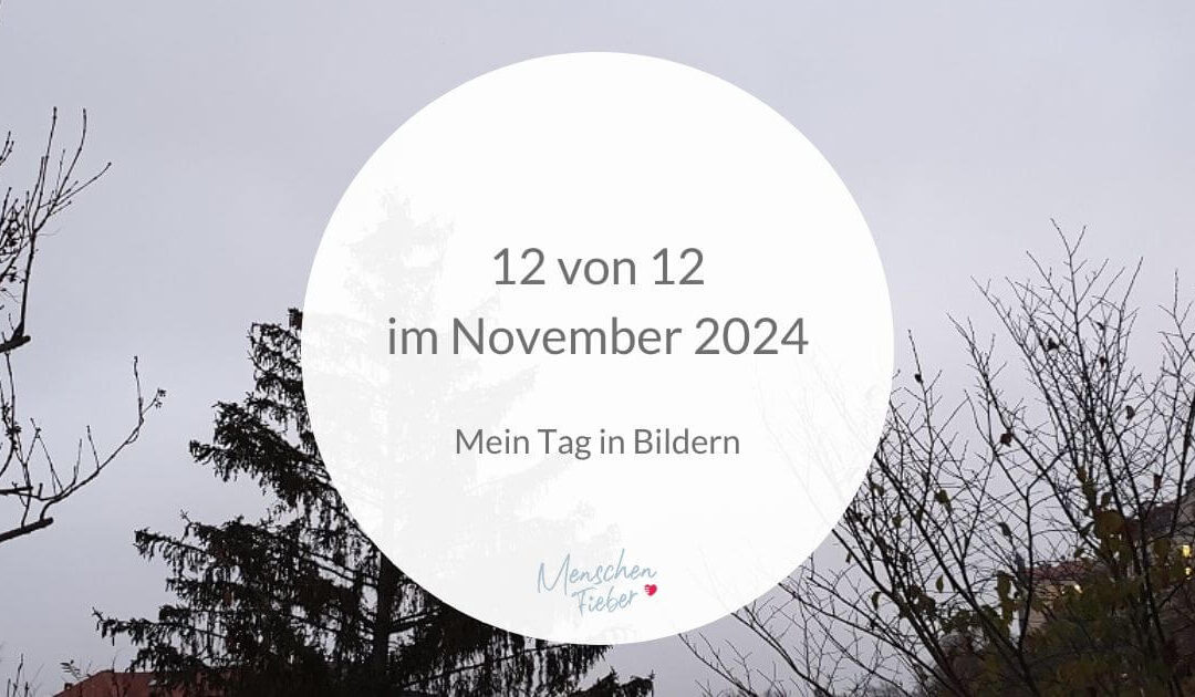 12 von 12 im November 2024