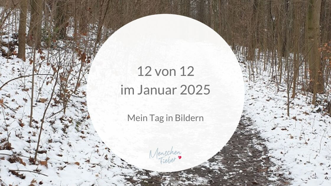 verschneiter Winterwald mit der Aufschrift: 12 von 12 im Januar 2025: Mein Tag in Bildern
