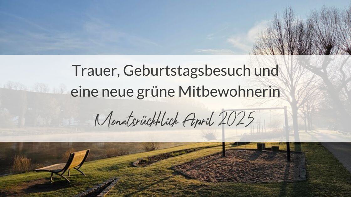 Entspannung pur: Flussnebel bei Morgensonne an der Elbe mit der Aufschrift: Monatsrückblick April 2025 - Trauer, Geburtstagsbesuch und eine neue grüne Mitbewohnerin