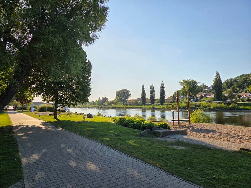 Elbufer Mai 2025 Sonniger Tag im Mai am Elbufer