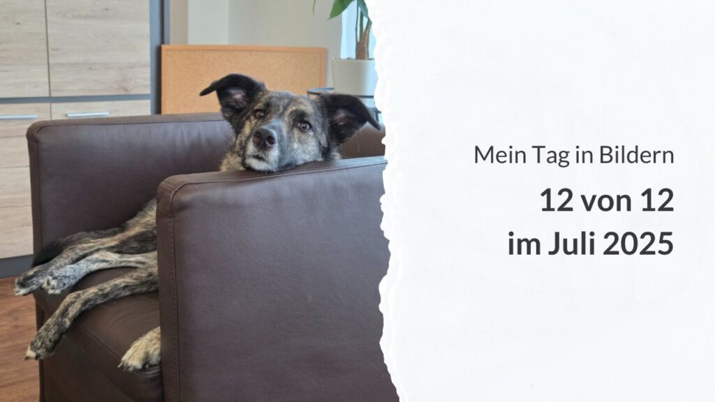 Ein brauner Hund auf einem braunen Sessel und die Aufschrift: Mein Tag in Bildern – 12 von 12 im Juli 2025