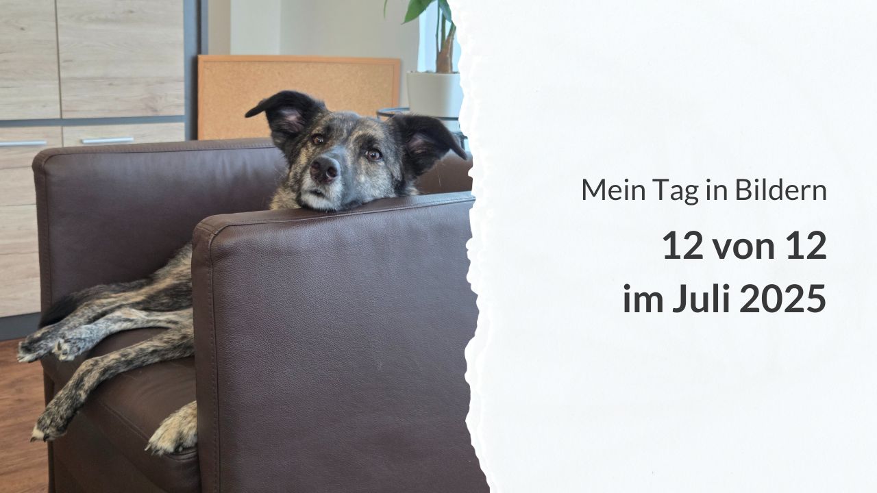Mein Tag in Bildern: 12 von 12 im Juli 2025