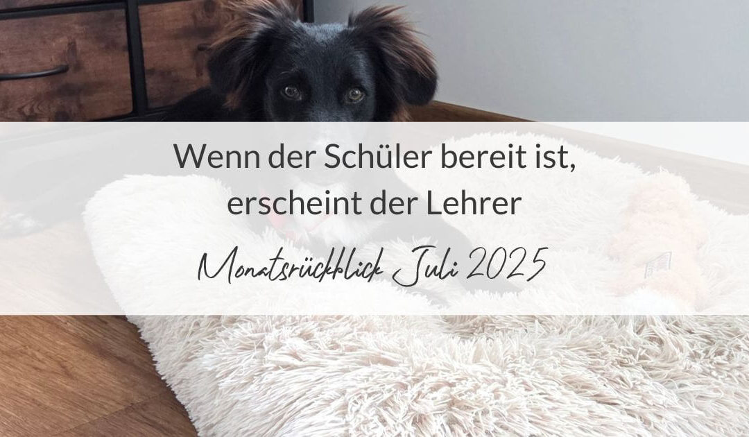 Monatsrückblick Juli 2025: Wenn der Schüler bereit ist, erscheint der Lehrer