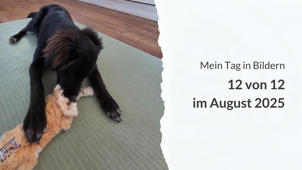 Mein Tag in Bildern: 12 von 12 im August 2025
