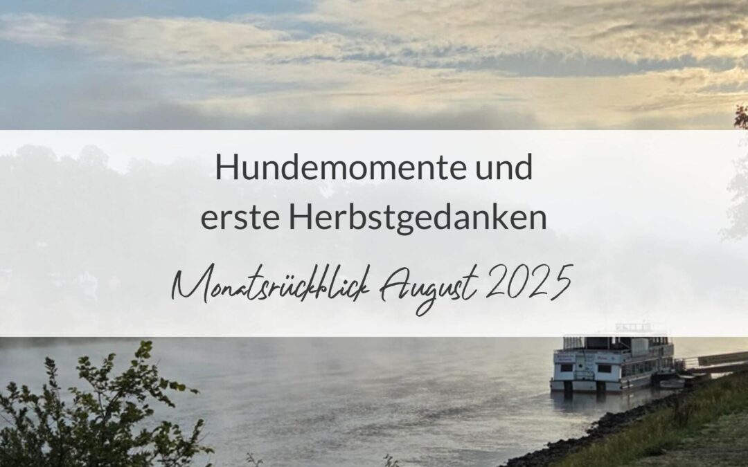 Monatsrückblick August 2025: Hundemomente und erste Herbstgedanken