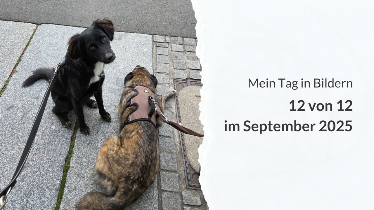 zwei Hunde in der Stadt und die Aufschrift: Mein Tag in Bildern – 12 von 12 im September 2025
