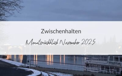 Monatsrückblick November 2025: Zwischenhalten