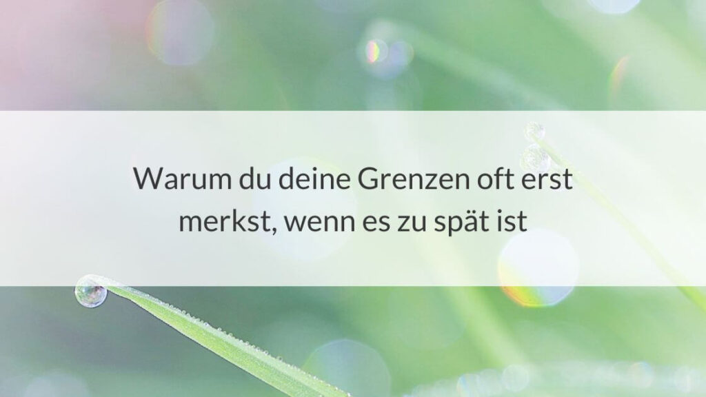 Morgentau auf grünen Grashalmen und die Aufschrift: Warum du deine Grenze oft erst merkst, wenn es zu spät ist