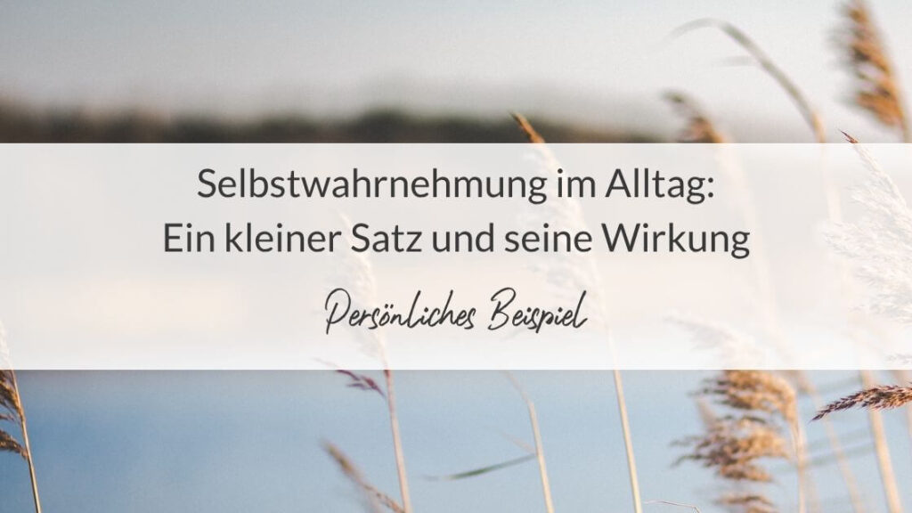 Titelbild mit der Aufschrift „Selbstwahrnehmung im Alltag: Ein kleiner Satz und seine Wirkung – Persönliches Beispiel“ vor einem Hintergrund mit unscharfen Gräsern am Wasser bei sanftem Licht.