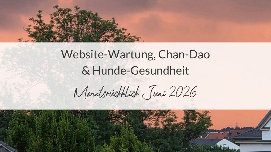 Titelbild zum Monatsrückblick Juni 2026. Text: Website-Wartung, Chan-Dao & Hunde-Gesundheit. Im Hintergrund ist ein Baum vor einem orange-violetten Gewitterhimmel bei Sonnenuntergang zu sehen.