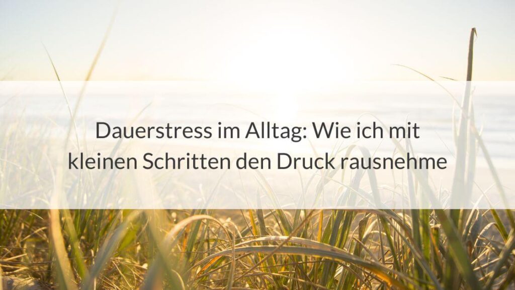 Beitragsbild mit dem Titel: Dauerstress im Alltag: Wie ich mit kleinen Schritten den Druck rausnehme, vor einem Hintergrund aus Gräsern im Sonnenlicht.