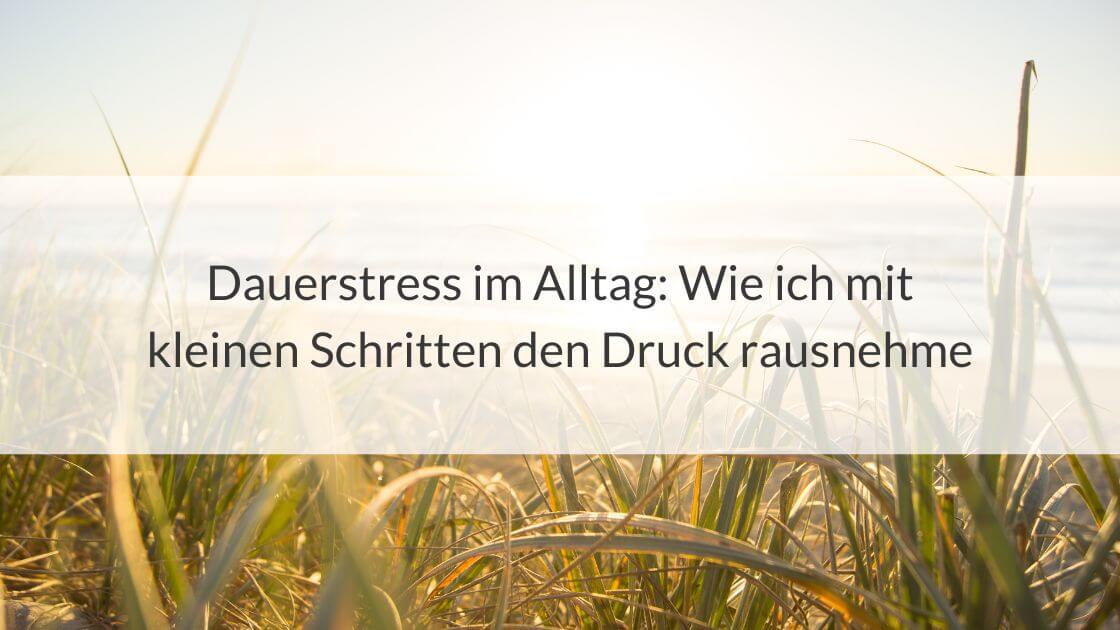 Beitragsbild mit dem Titel: Dauerstress im Alltag: Wie ich mit kleinen Schritten den Druck rausnehme, vor einem Hintergrund aus Gräsern im Sonnenlicht.